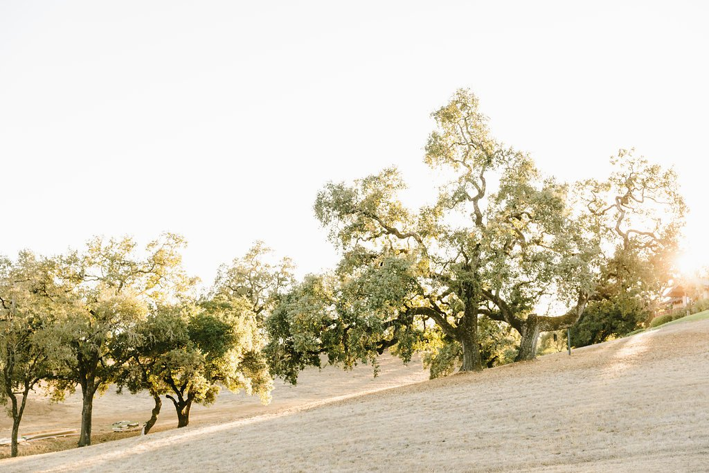 Property 4 Harper's Rest Winery