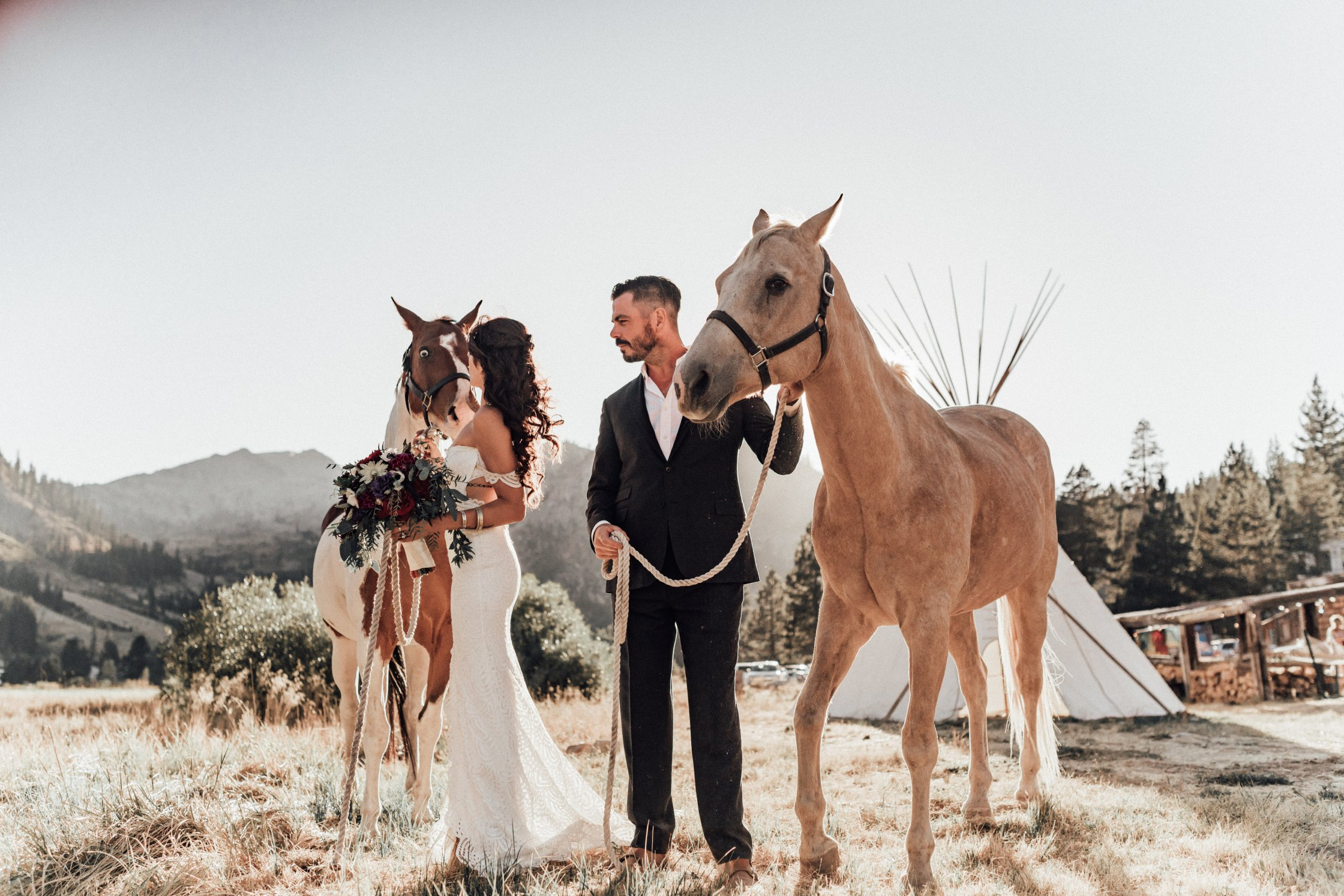 Olympic Valley Stables