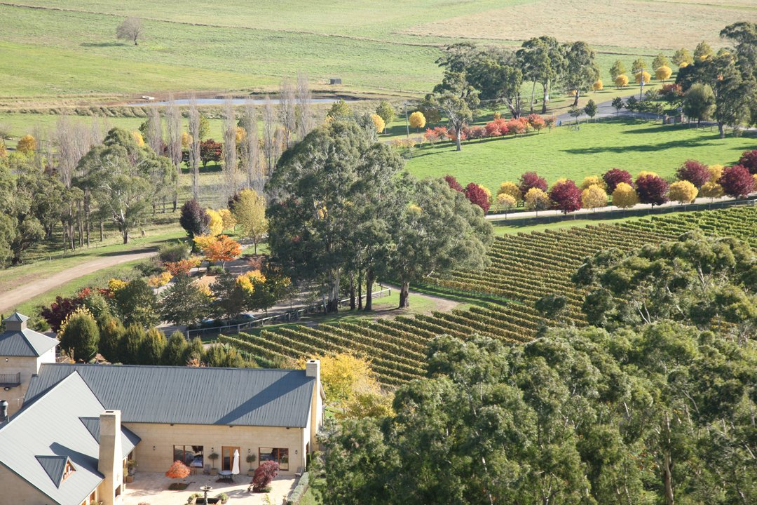 Centennial Vineyards Restaurant