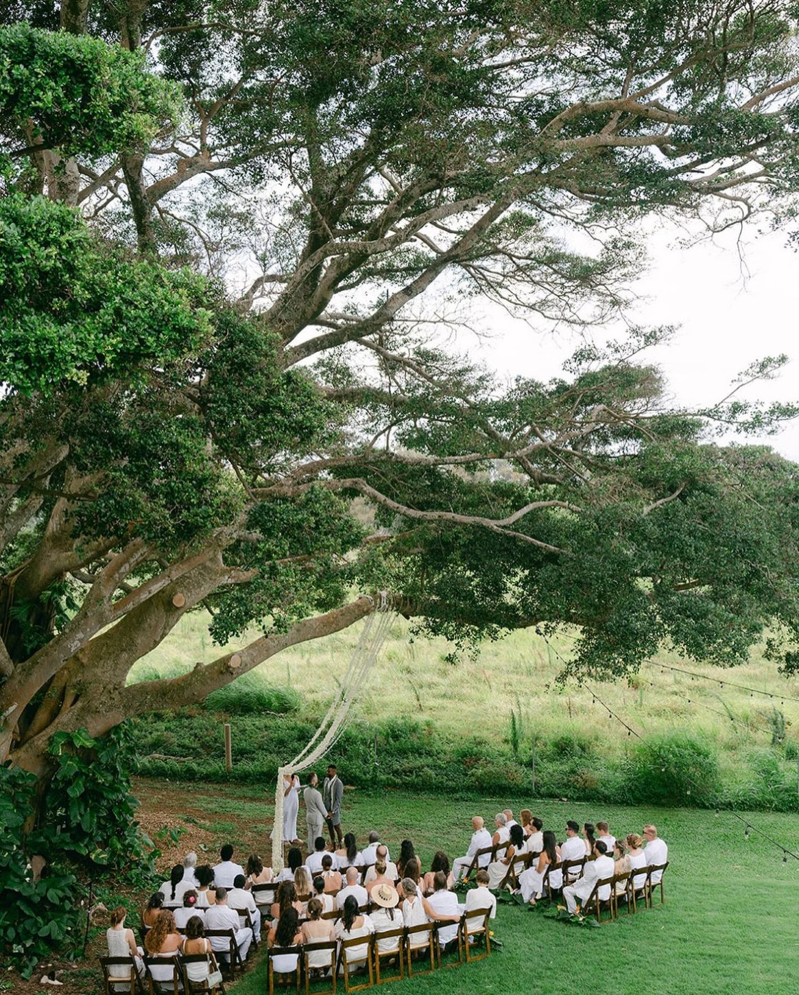 img-2320 The Last Resort