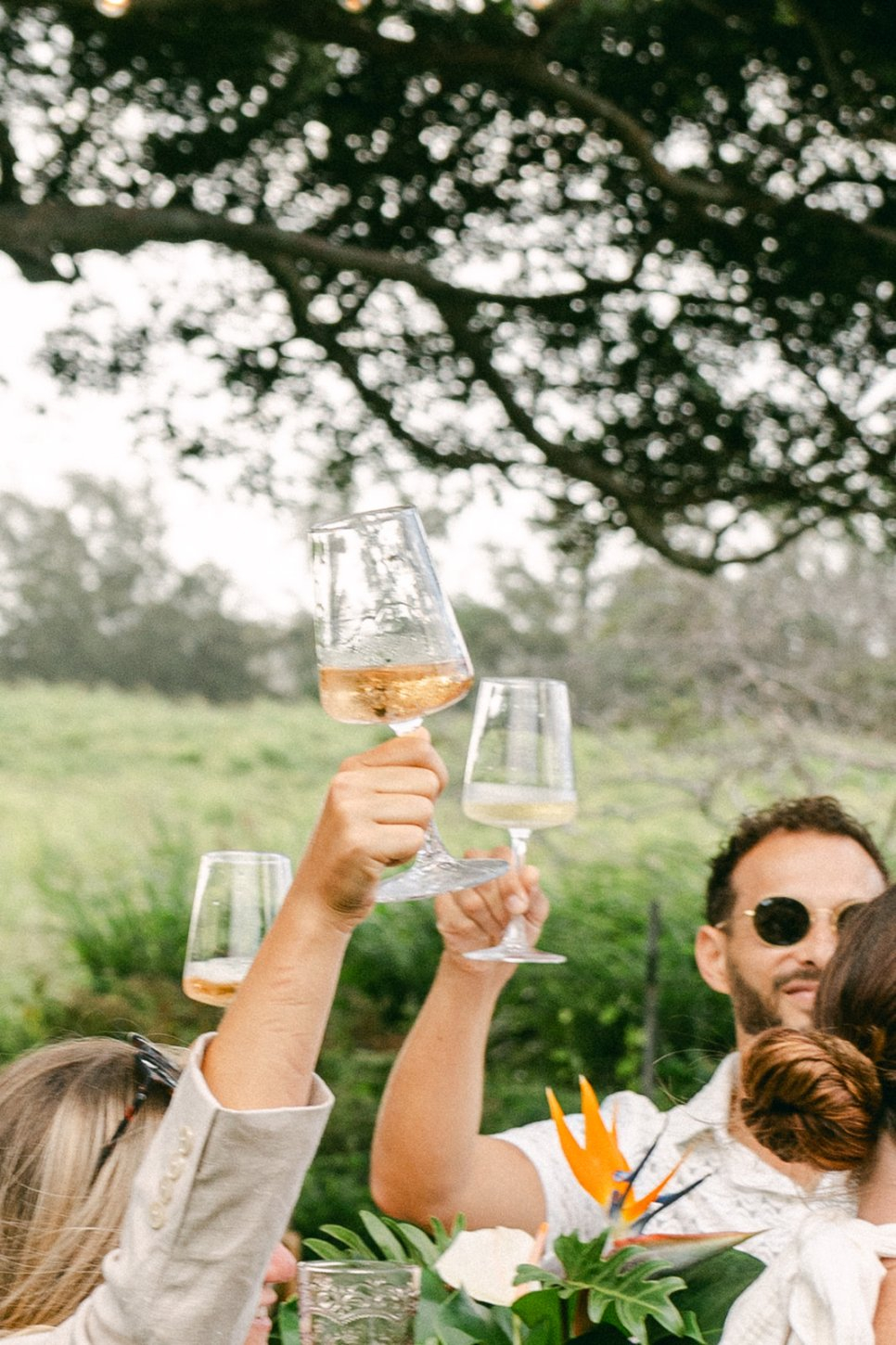 forest-kenyon-518-of-768-websize The Last Resort