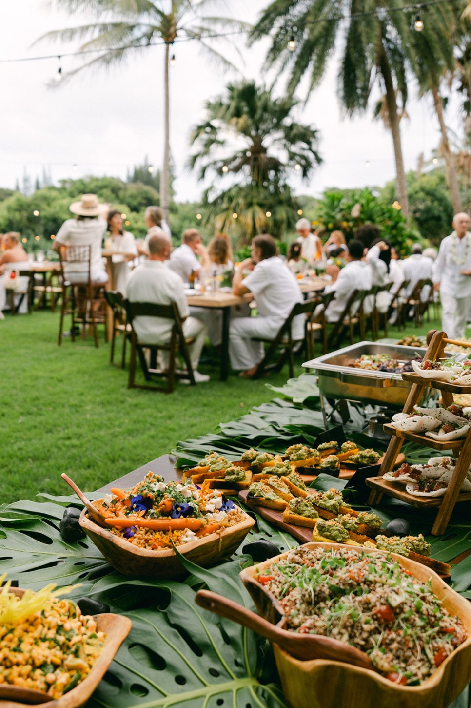 forest-kenyon-535-of-768-websize The Last Resort