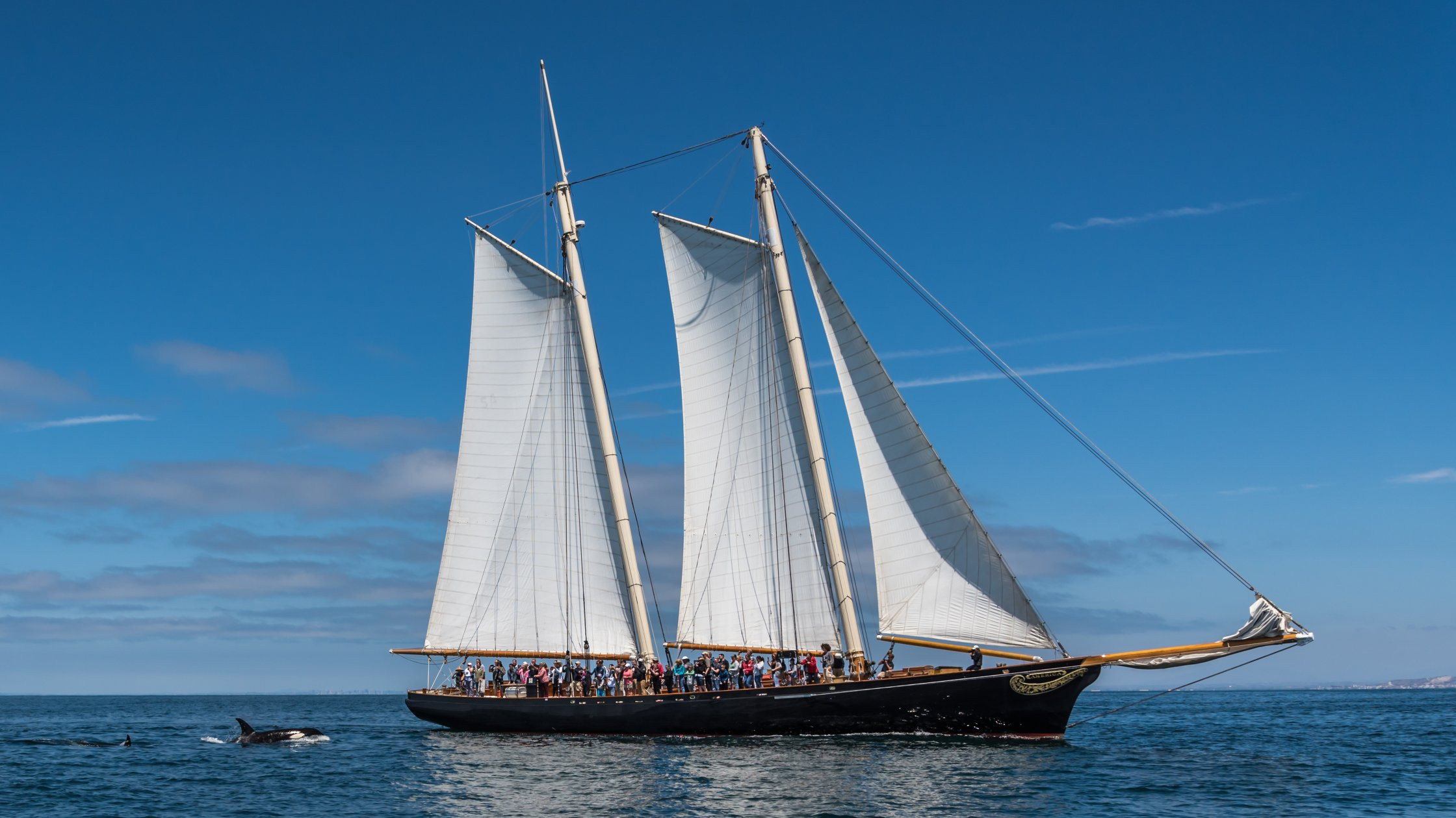 The Yacht America