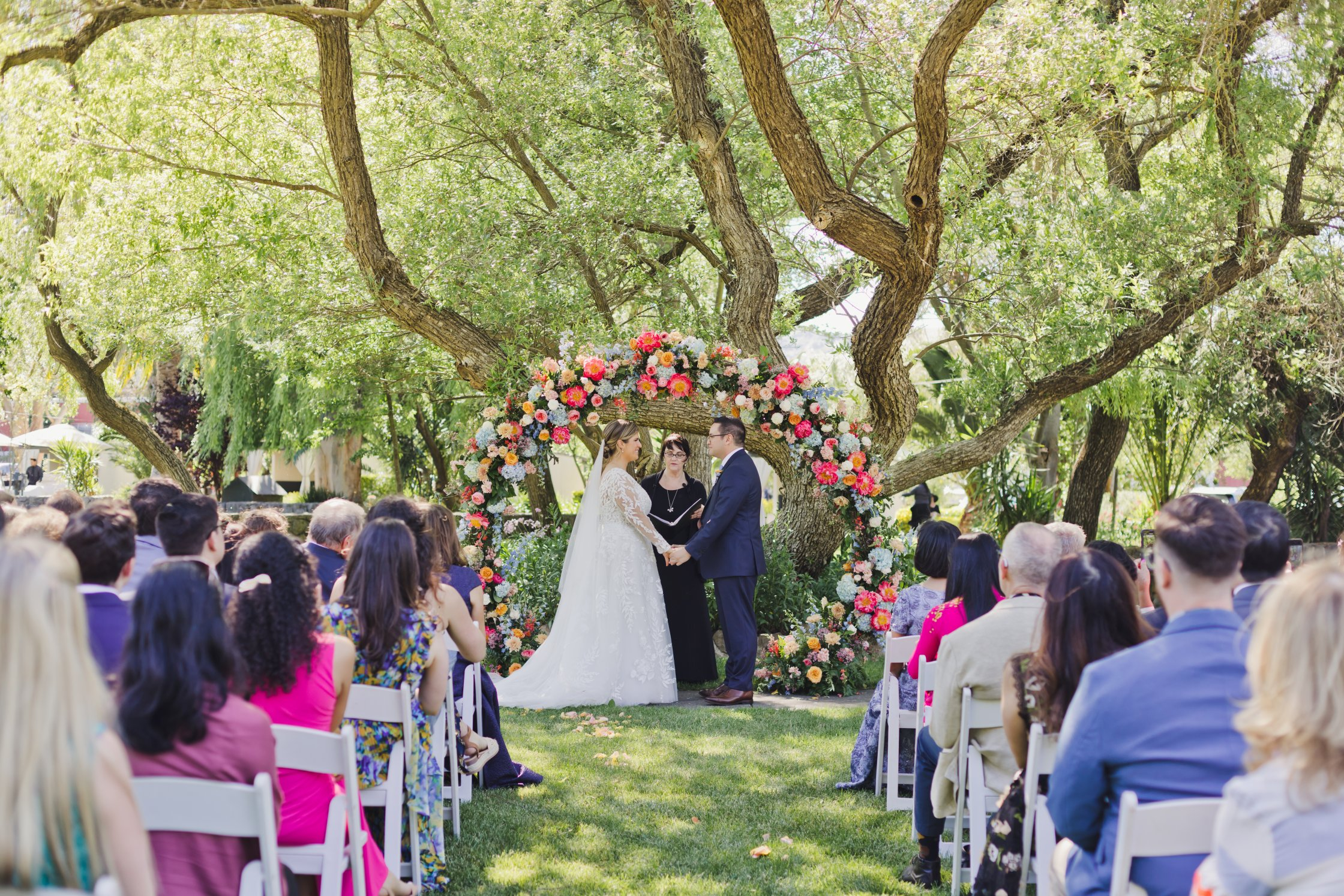 Cline Family Cellars