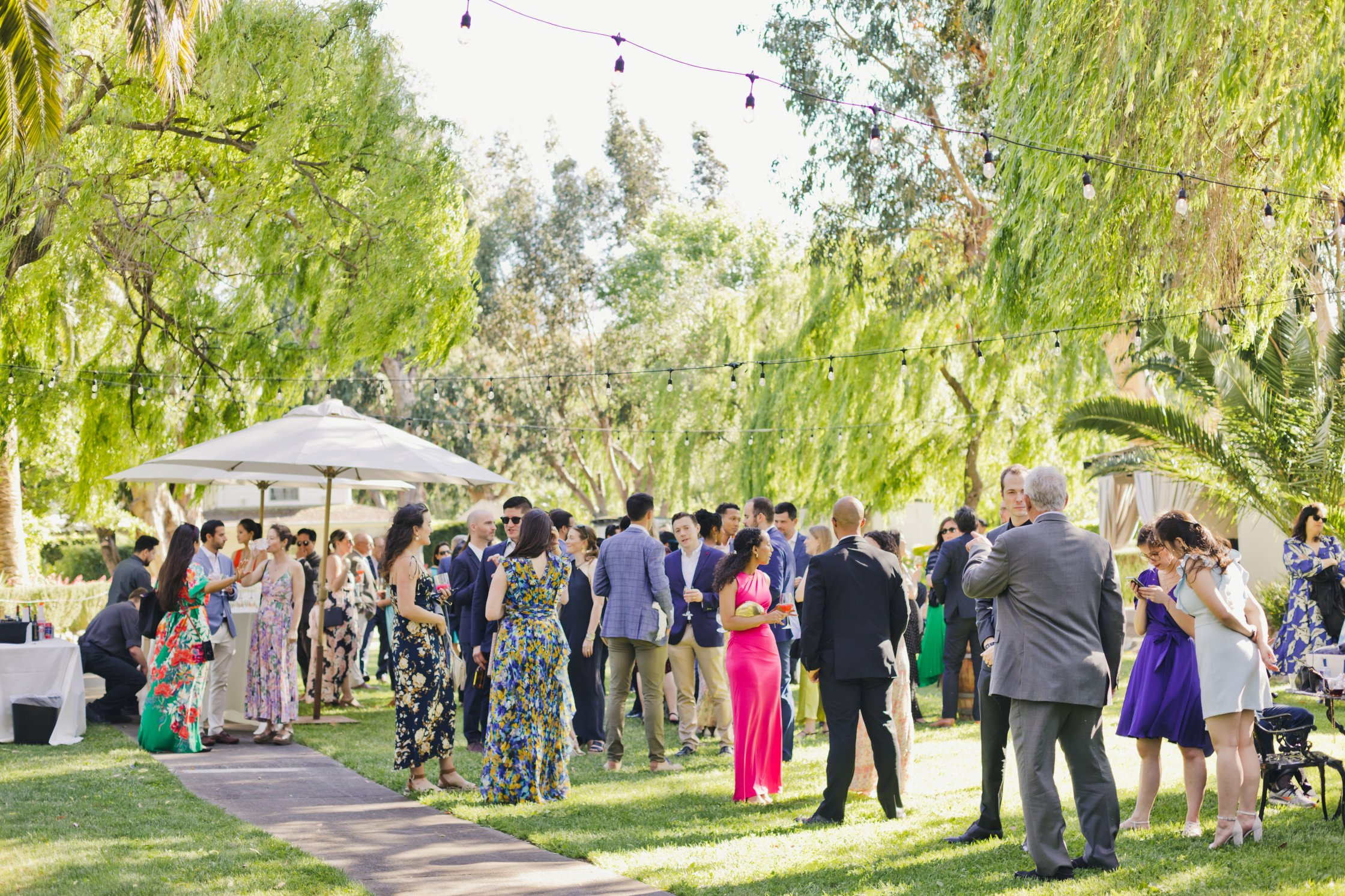 Cline Family Cellars