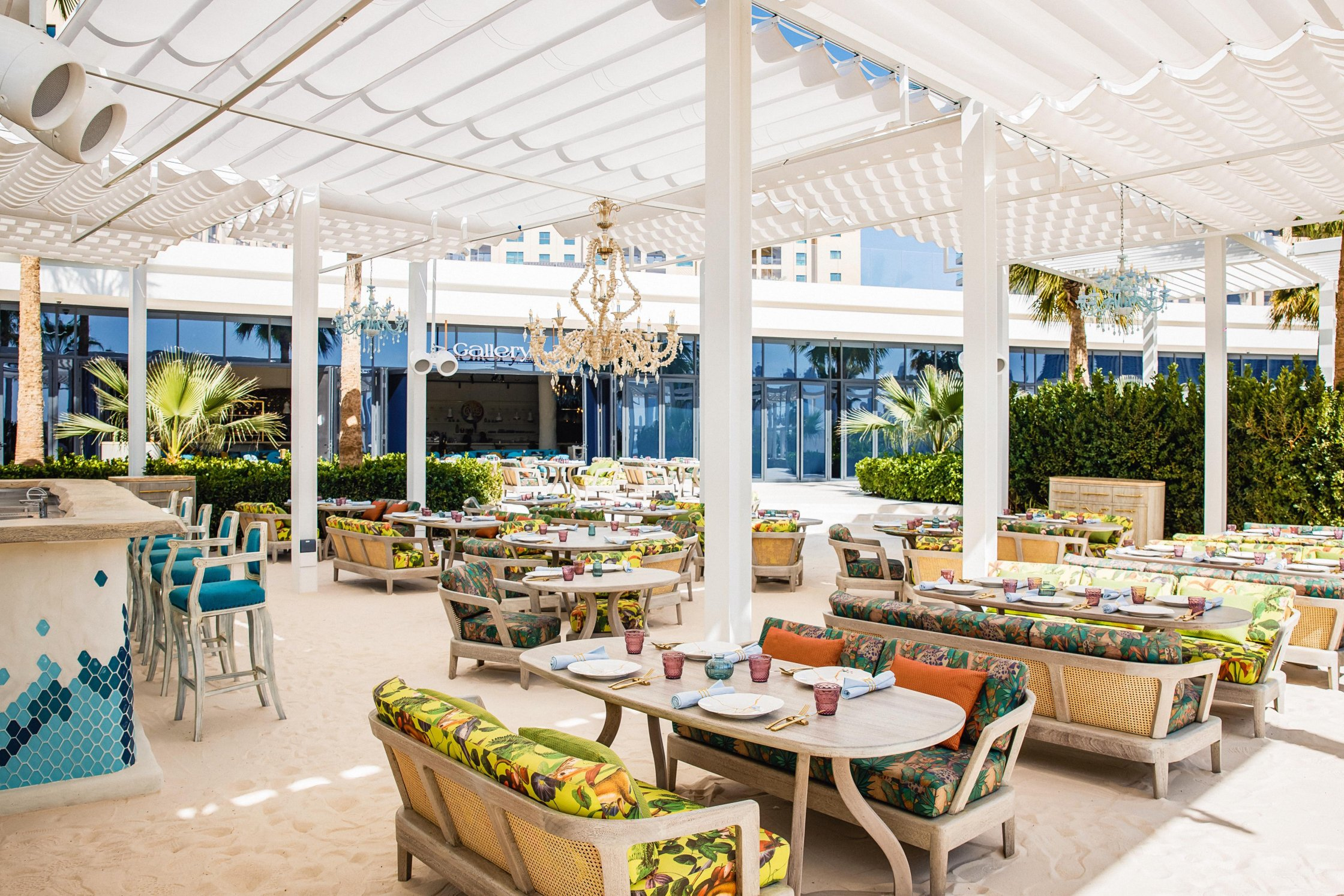 whatsapp-image-2025-02-04-at-16-35-53-3207d42c Gallery 7/40