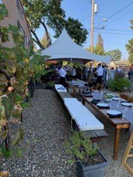 picture4 Longboard Vineyards