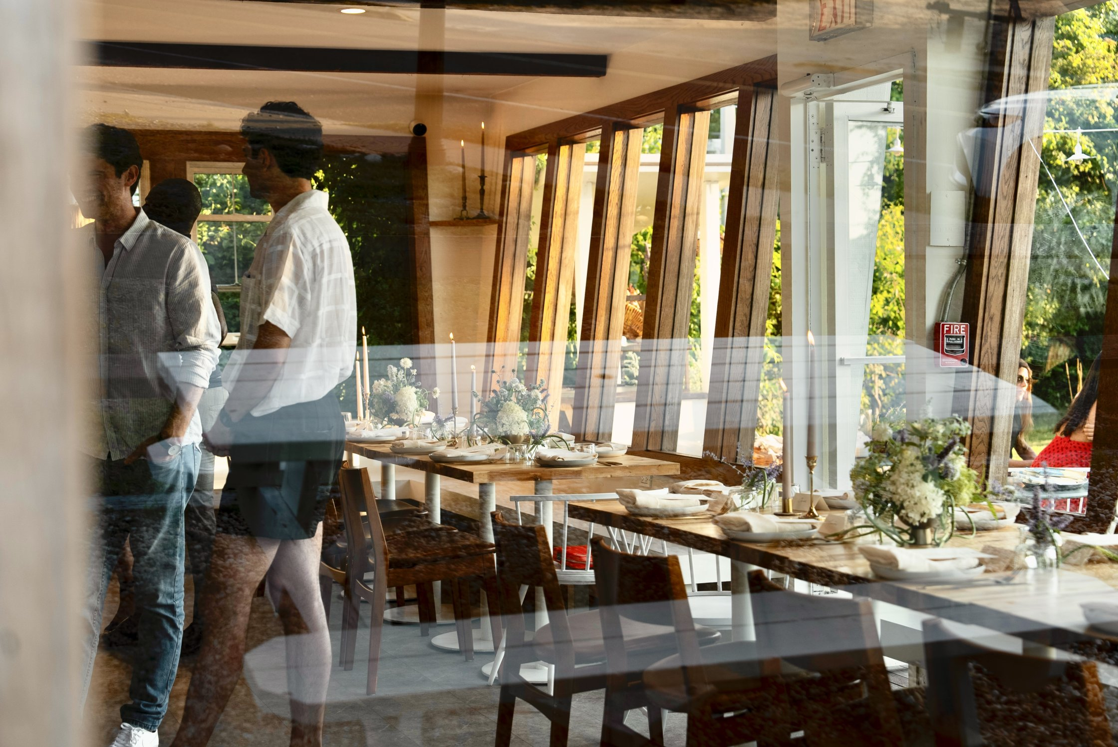 dsc02112 Rooted Montauk