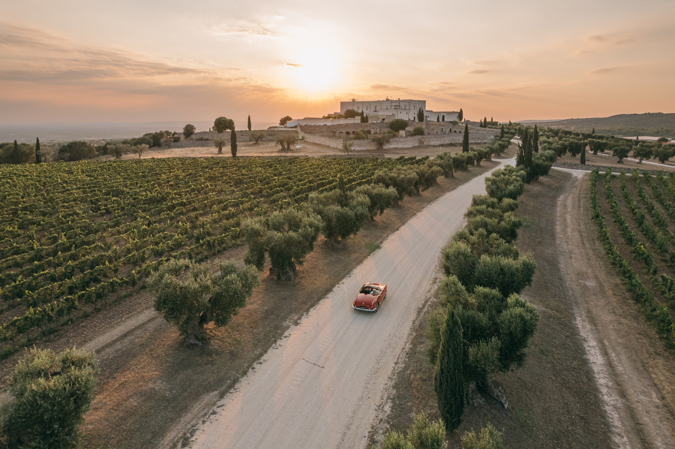 foto-principale Masseria Amastuola Wine Resort