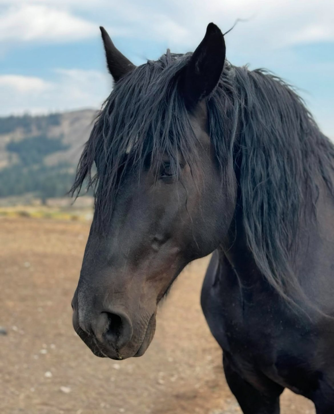 img-8625 Sun Mountain Lodge