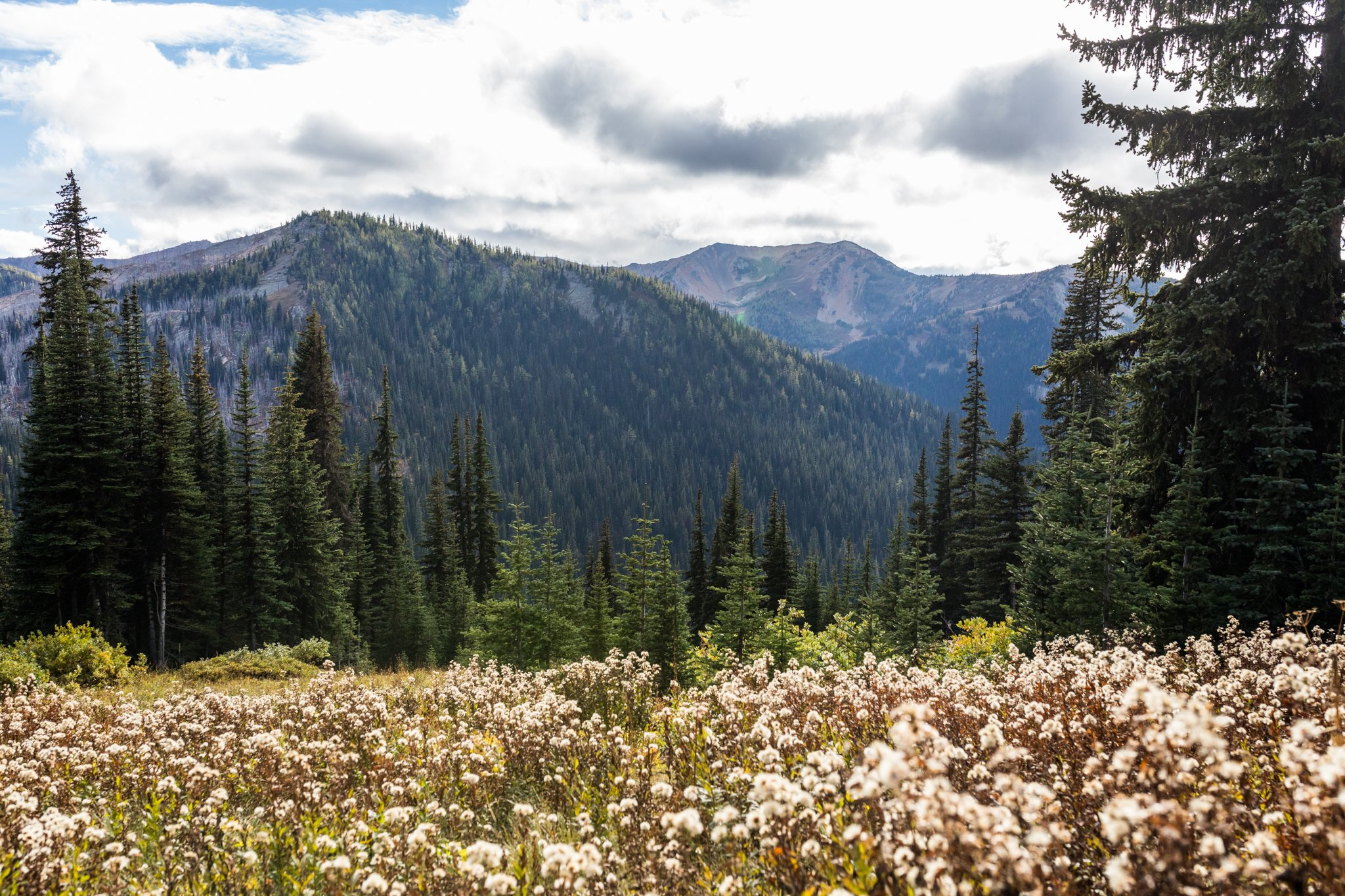 young-reflections-1481-3 Sun Mountain Lodge
