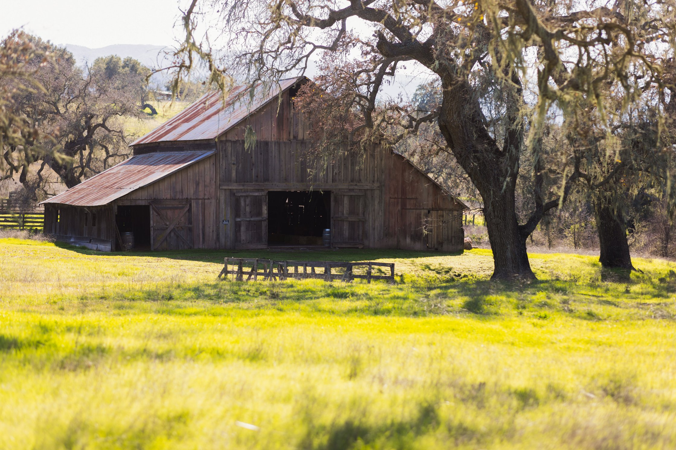 Gainey Estate Vineyard