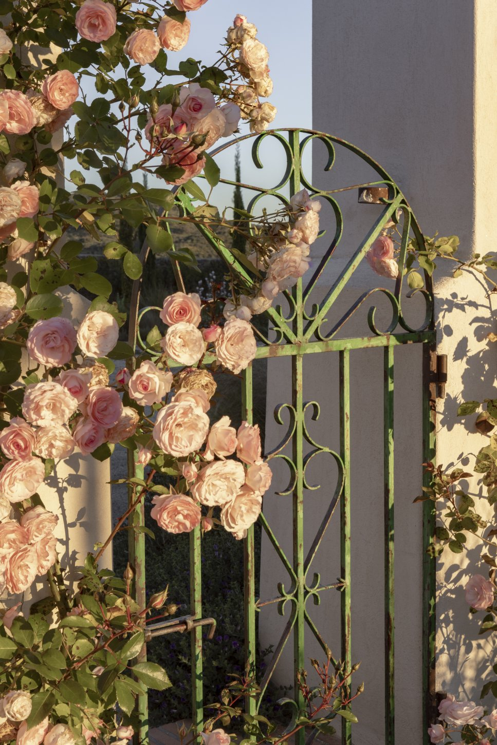 jar-rsr-h-dehesa-don-pedro-macarenagross-7121 La Dehesa de Don Pedro