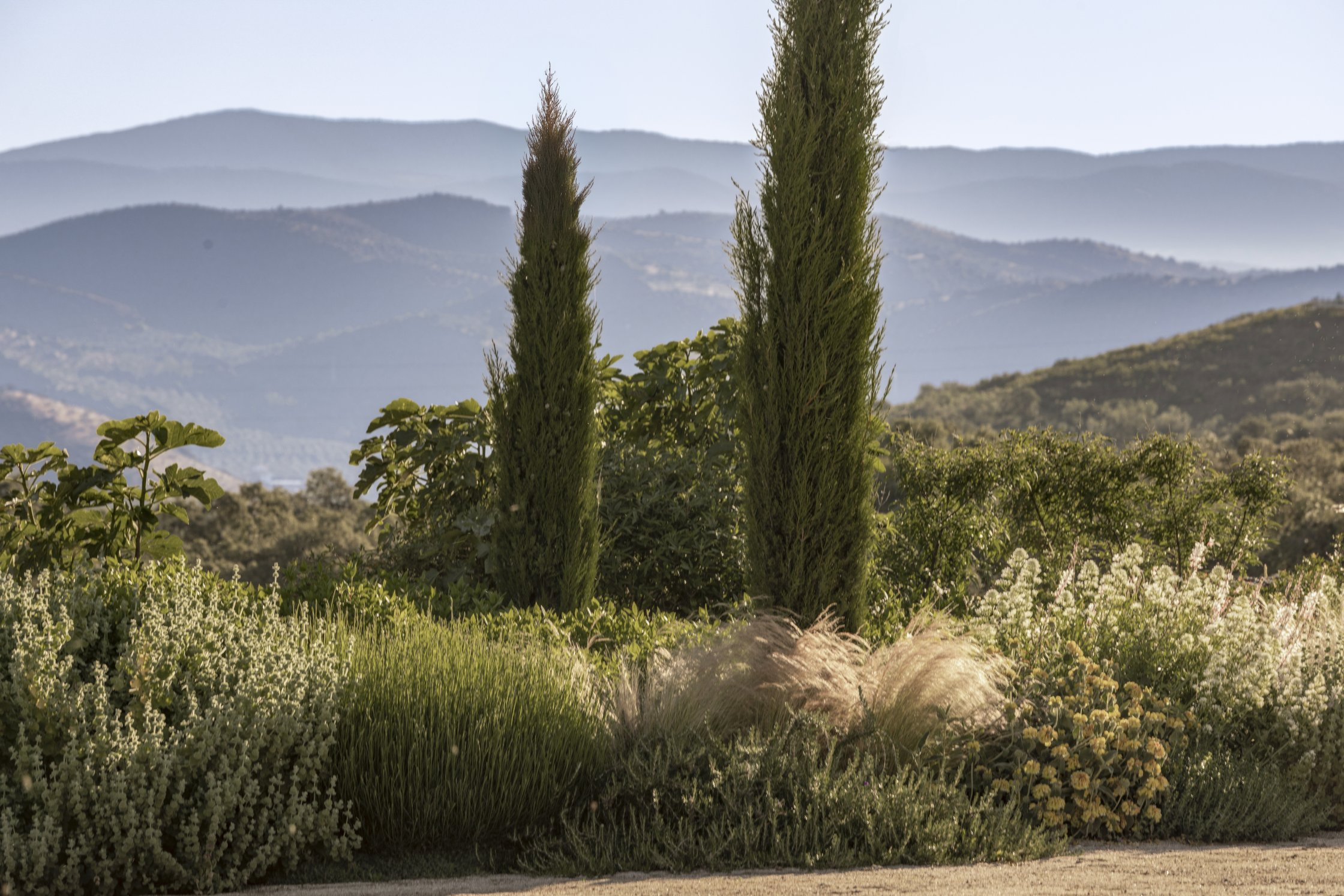 jar-rsr-h-dehesa-don-pedro-macarenagross-7363 La Dehesa de Don Pedro