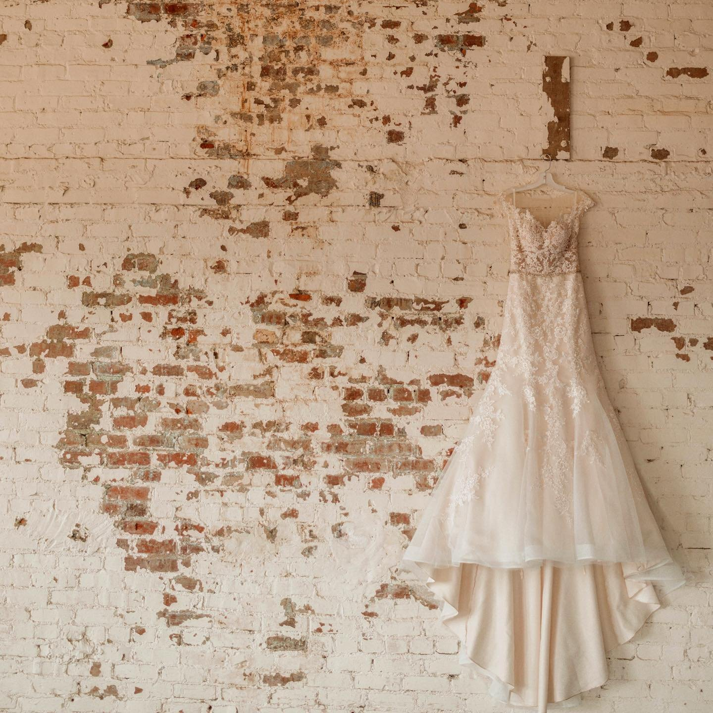 129734273-2773373259593921-8514323201533704529-n Vintage Venue