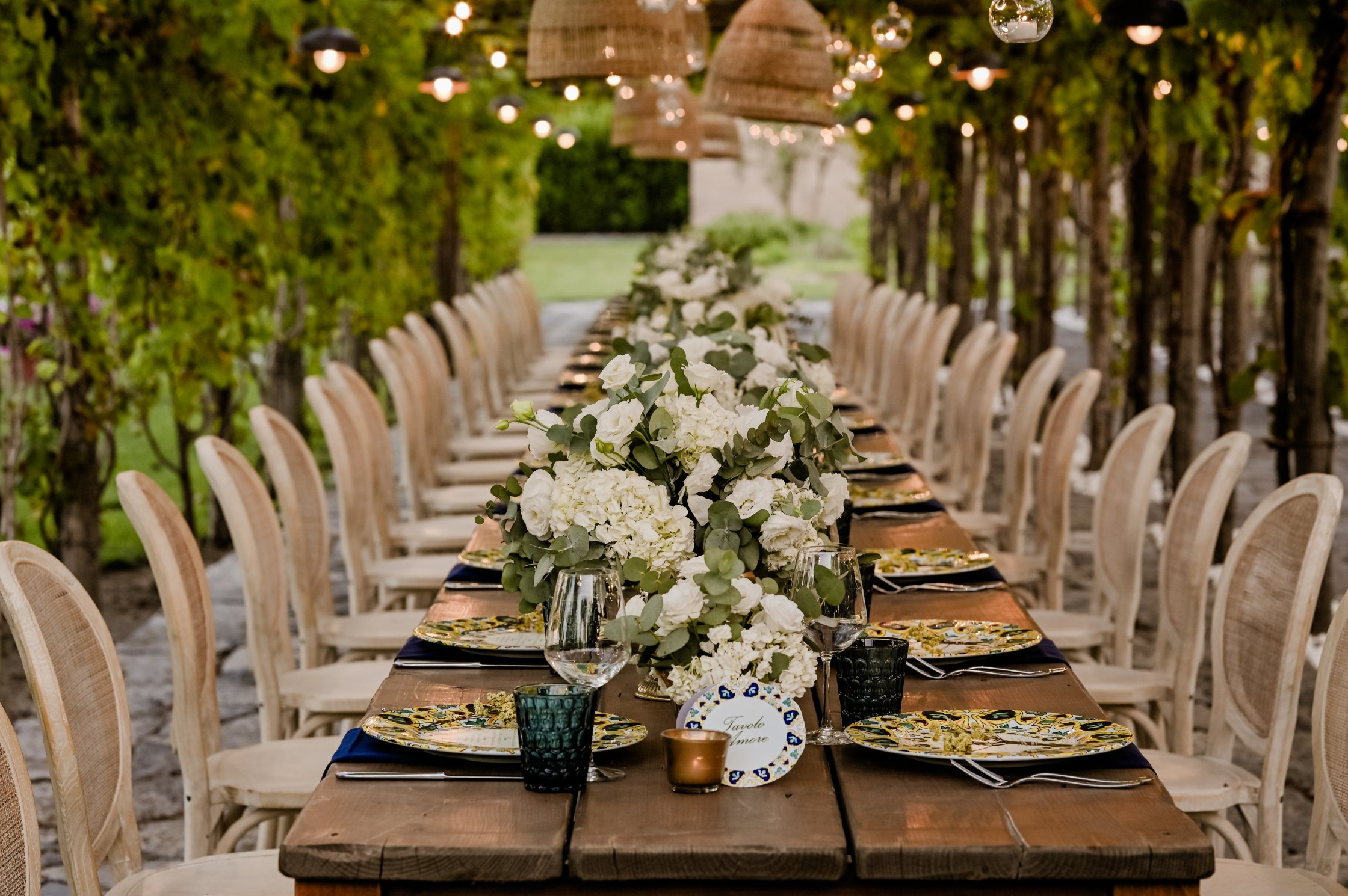 tv-15-1 Bosco de' Medici