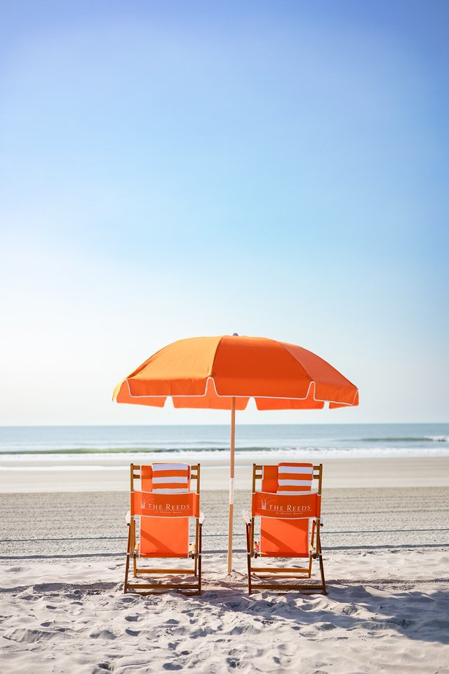 The Reeds at Shelter Haven