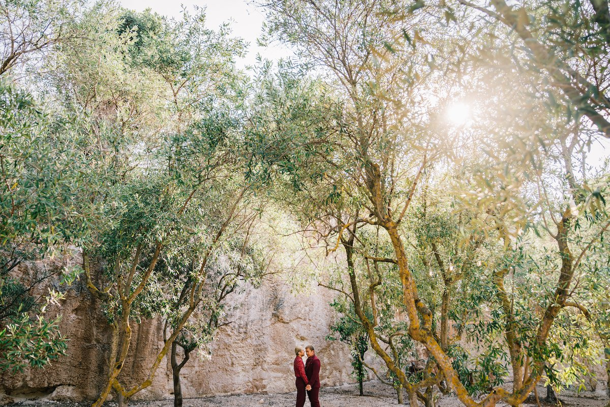 15alchimia-ph-matteo-lomonte MASSERIA ALCHIMIA