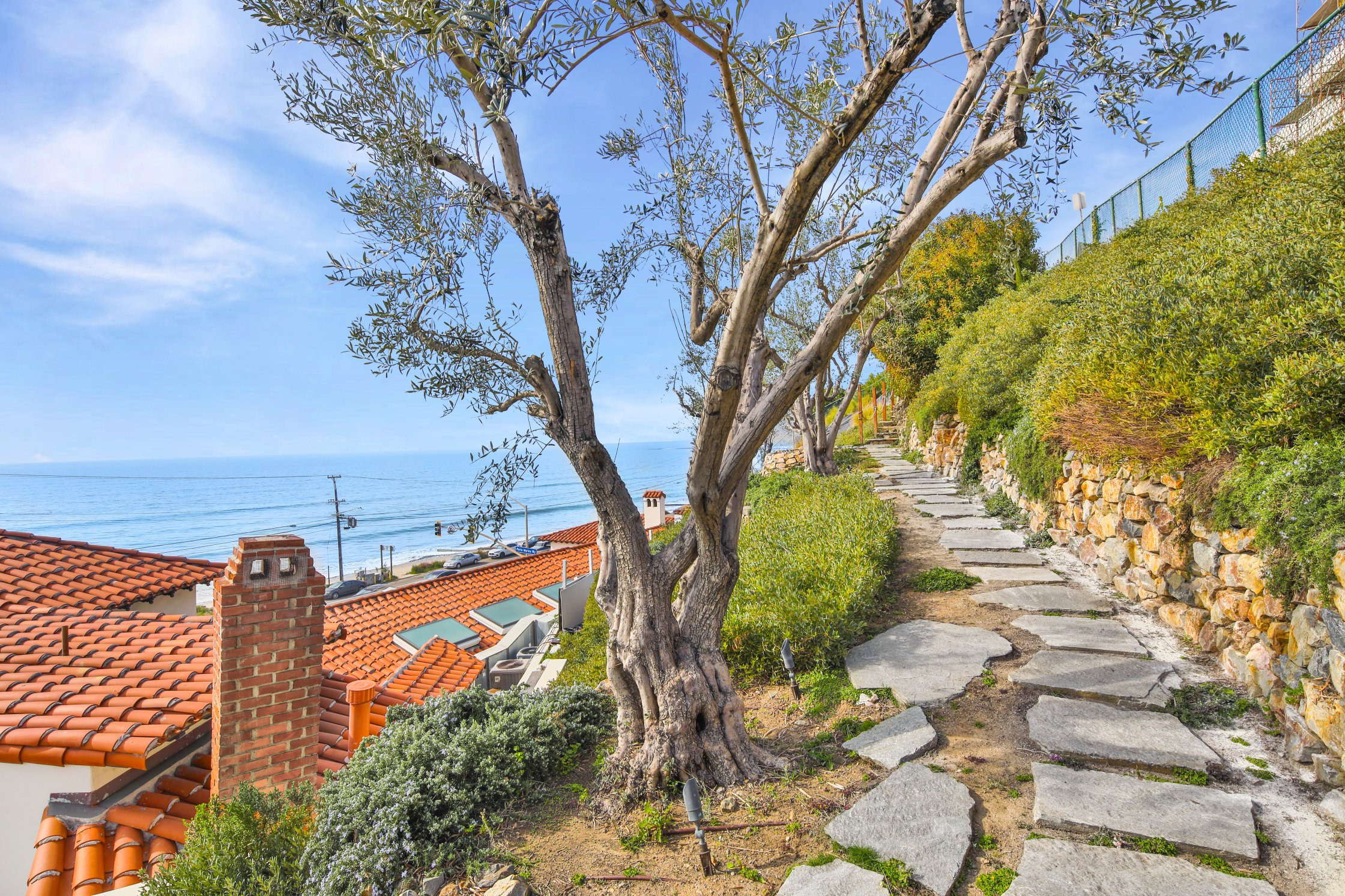 hillside-tree Surfside on PCH