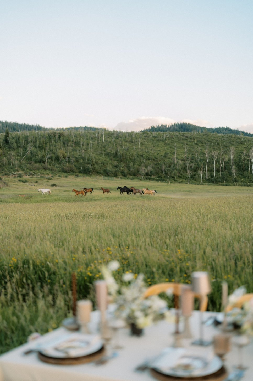 The Home Ranch