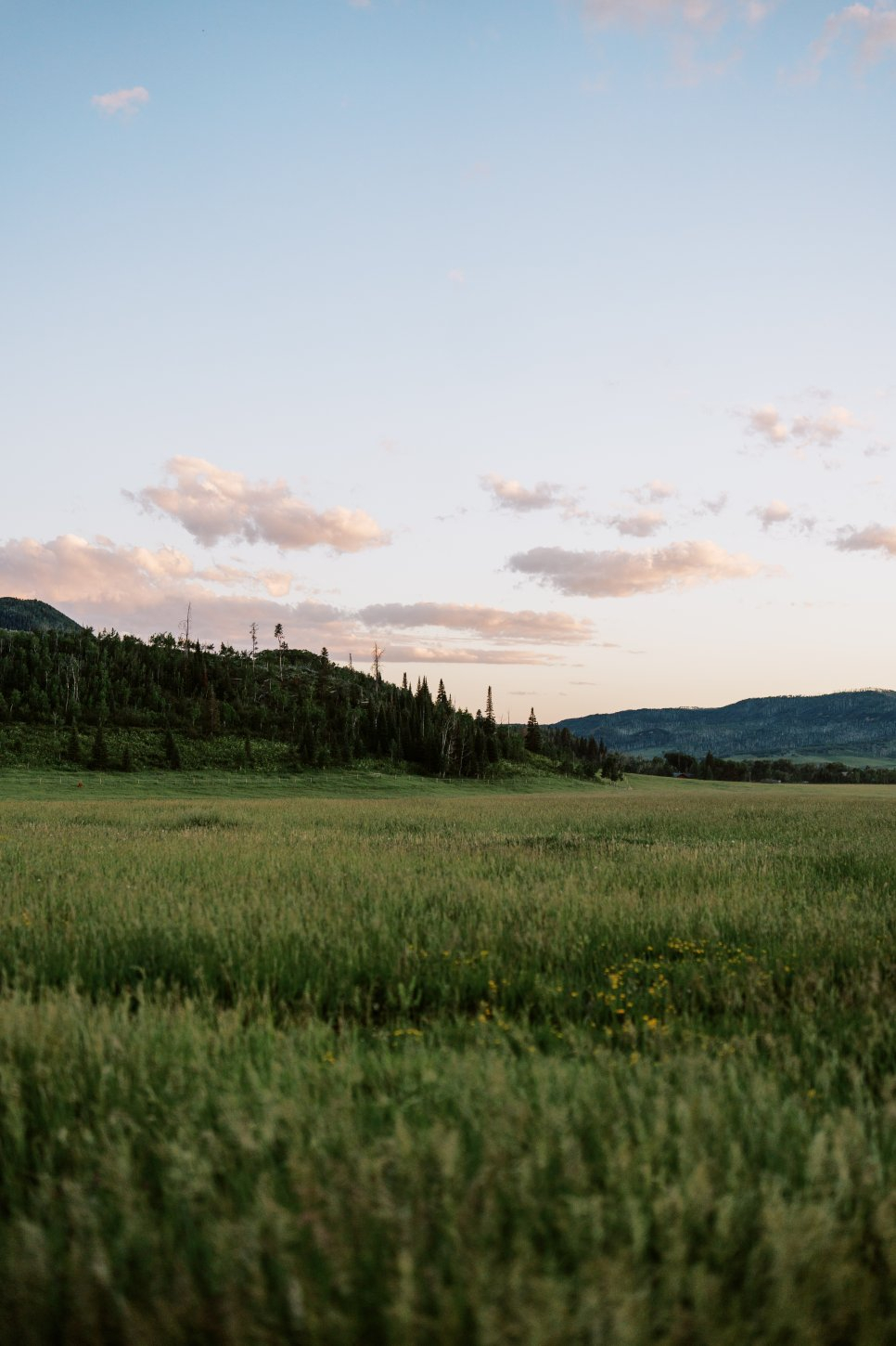 The Home Ranch