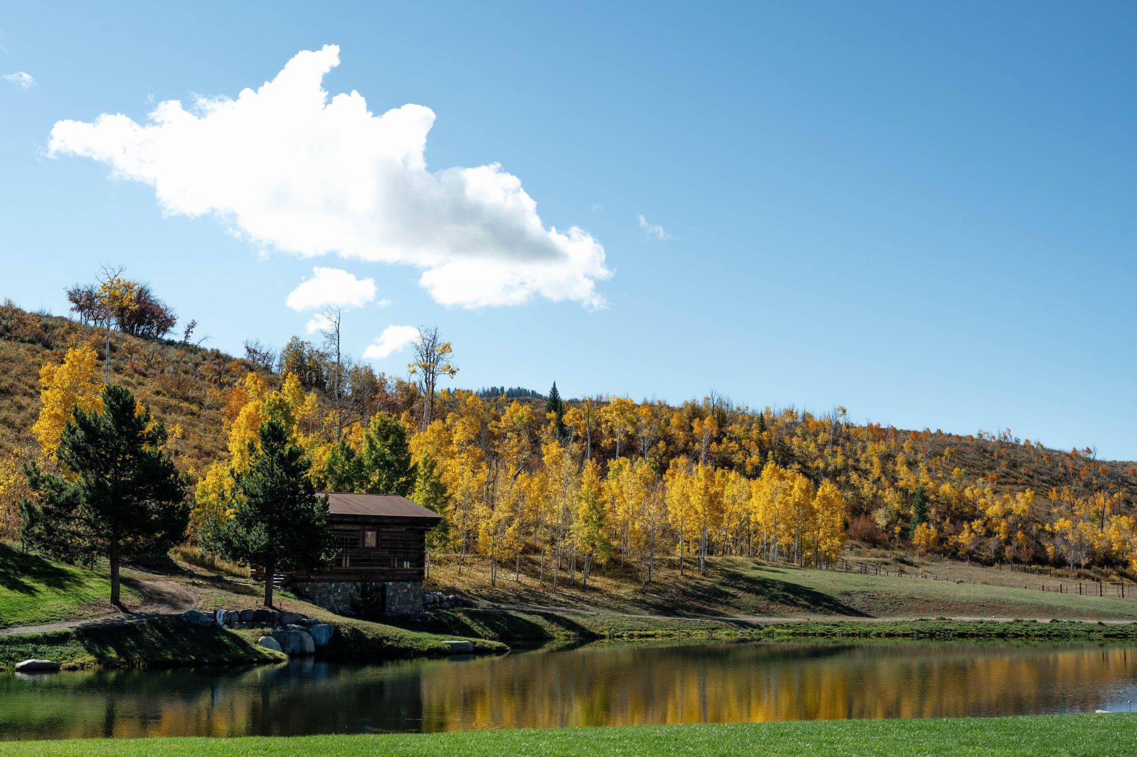 The Home Ranch