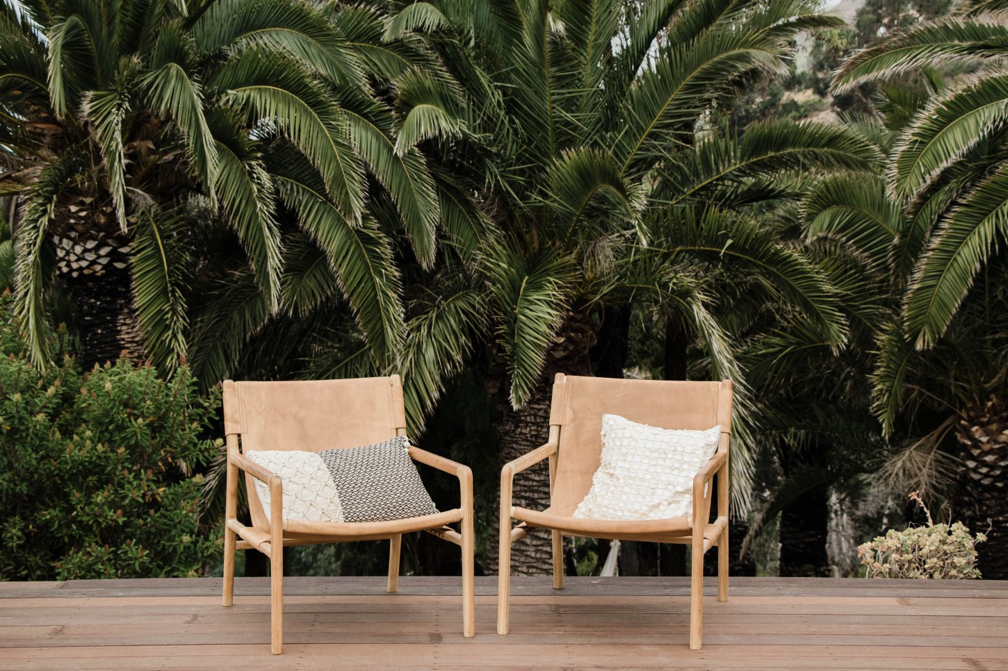 06-25-2022SOPHIEADI-6604 copy Zuma Sanctuary