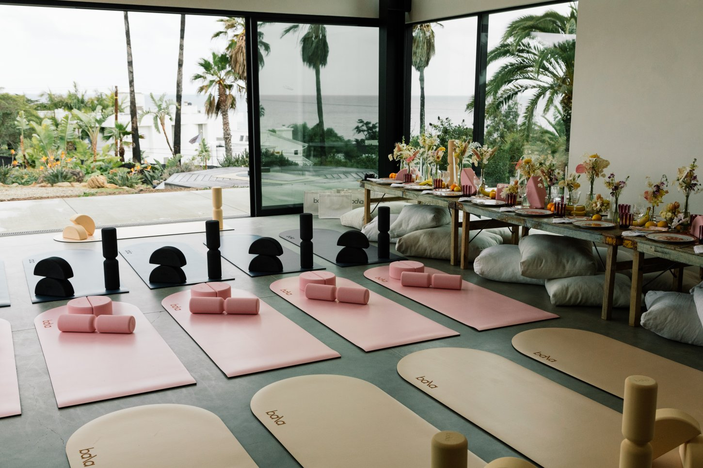 3R0A9323 copy Zuma Sanctuary