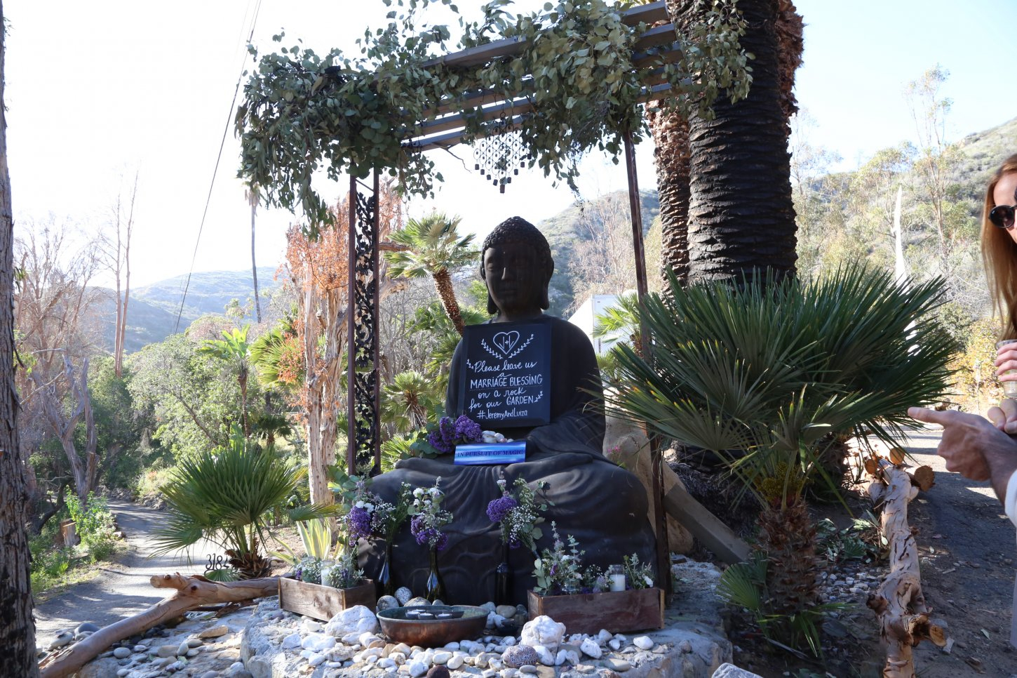 IMG_2896 copy 2 Zuma Sanctuary