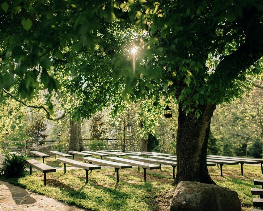benches in the grove by randi vasquez cropped The Barn at High Point Farms