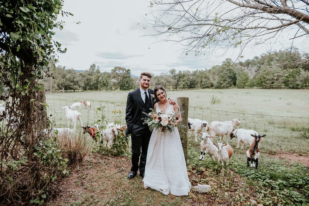 goat fence a for rachel by eden ingle The Barn at High Point Farms