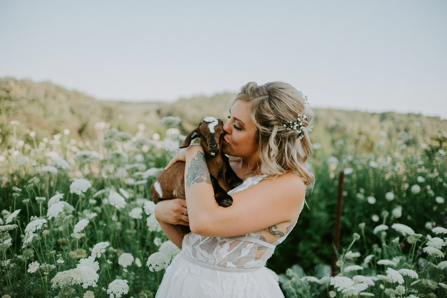 queen annes lace goat kiss a for sara by wonderly creative The Barn at High Point Farms