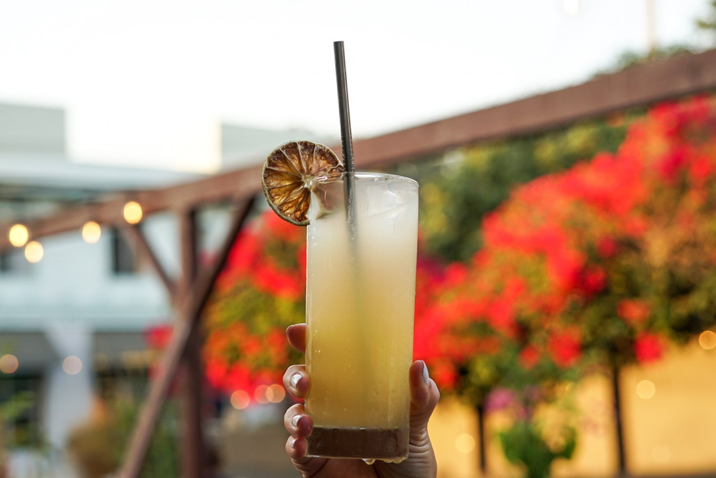 Tallula's_Paloma_Photo Credit Lindsey Huttrer Tallula's