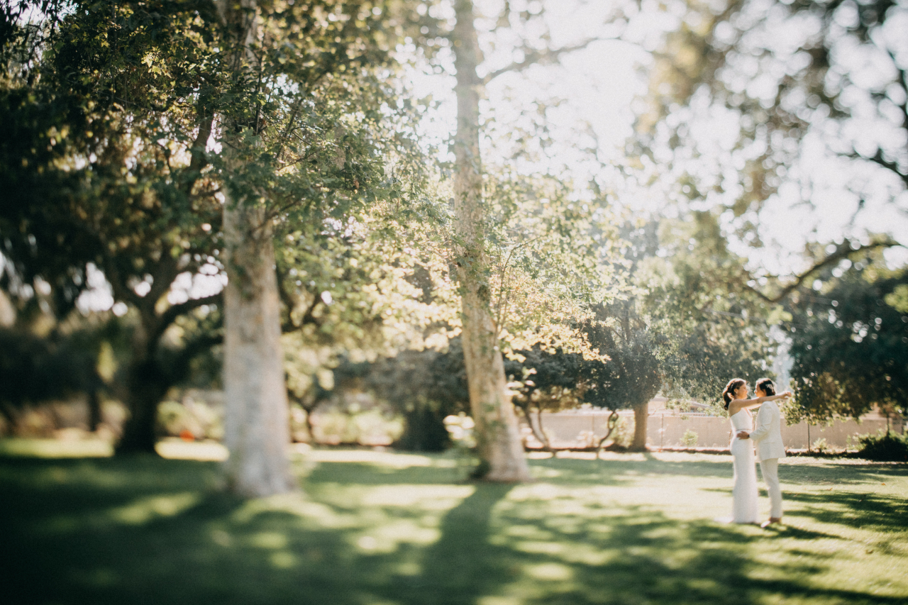 Under Sycamores Calamigos Los Angeles