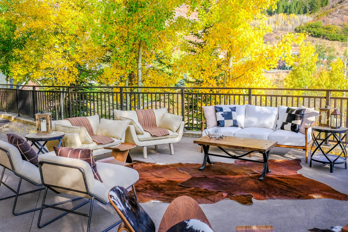 DSCF5062 Viceroy Snowmass