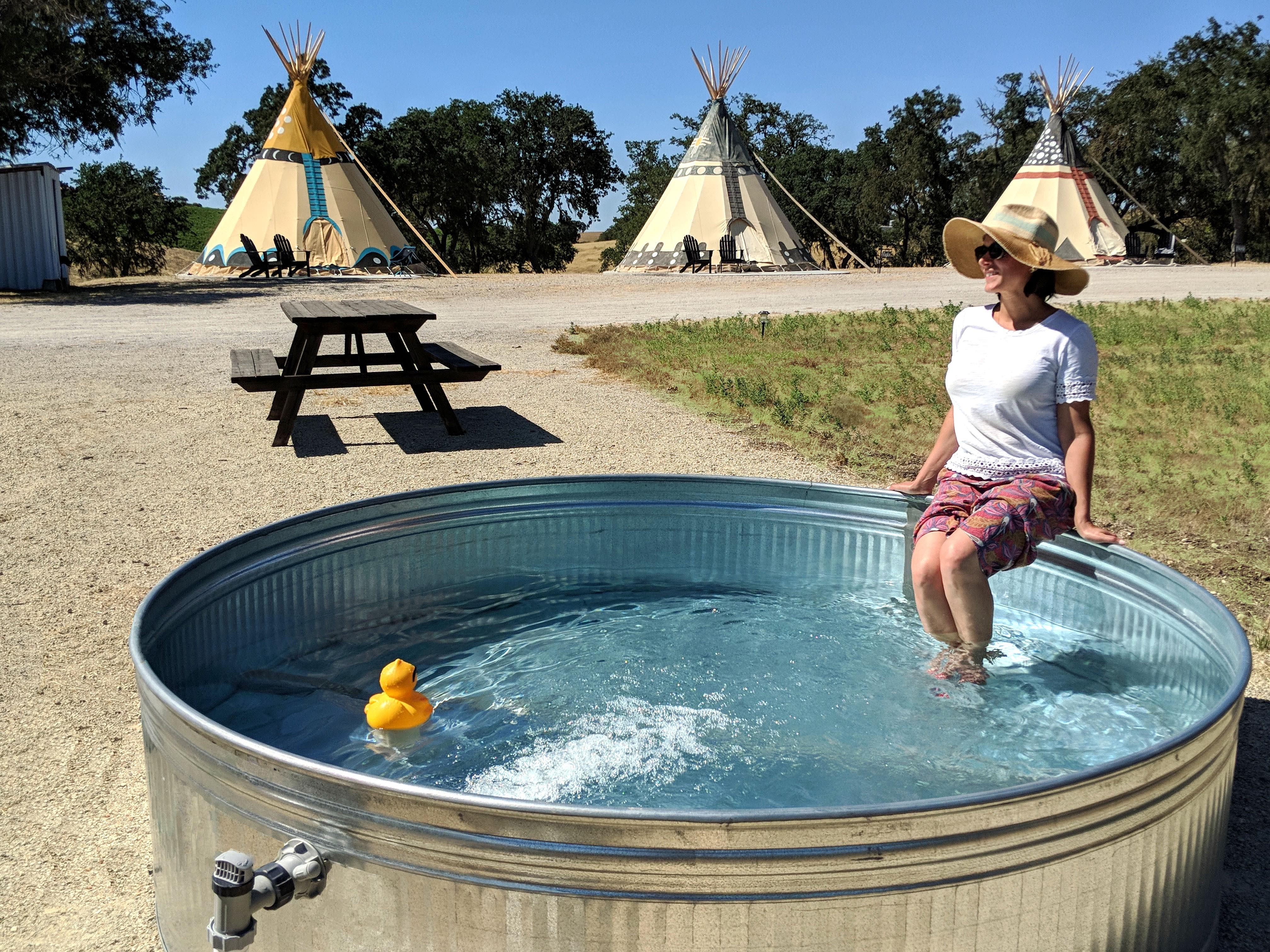 Summertime Pool Dina The Windwood Ranch