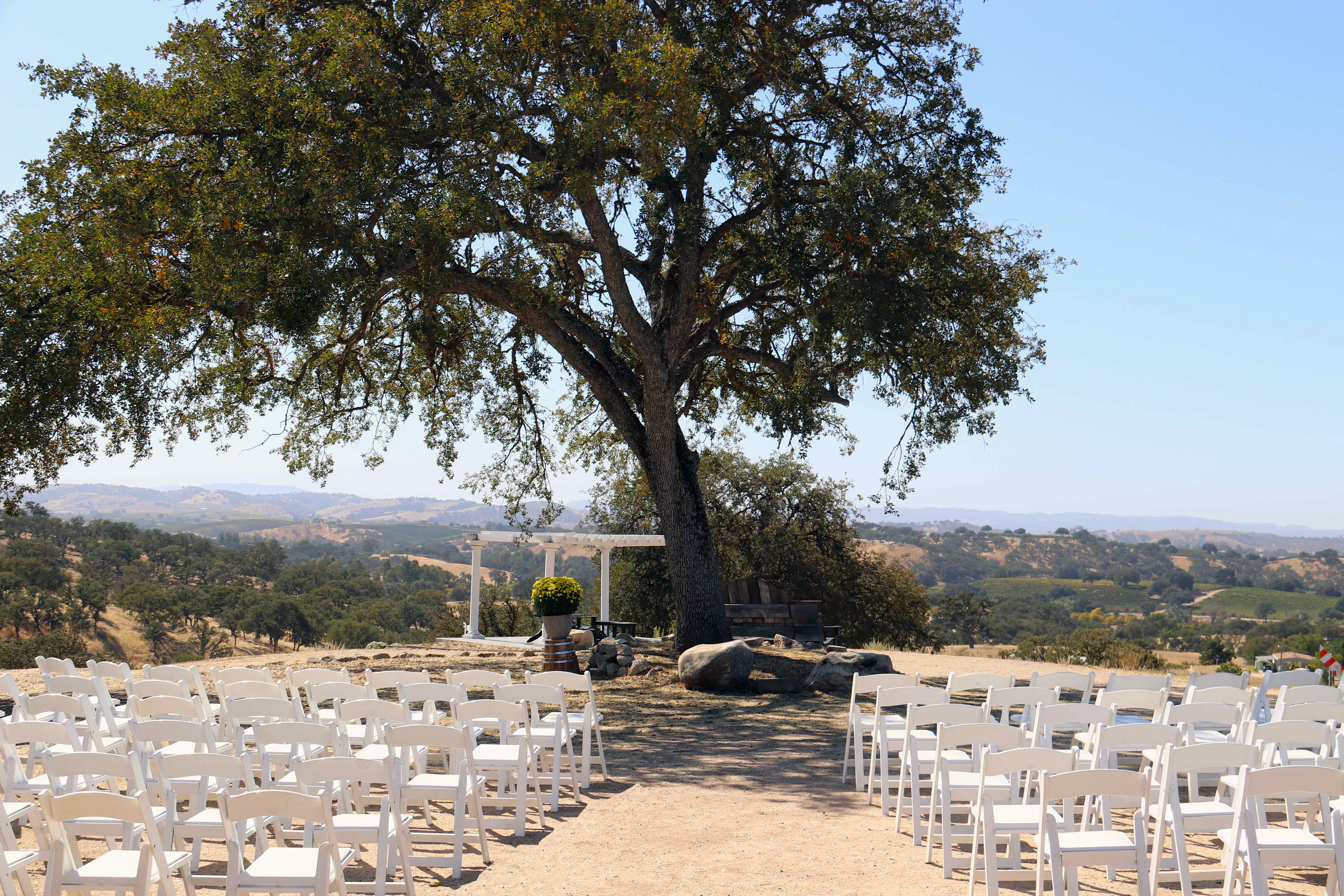 VenueWideTree The Windwood Ranch