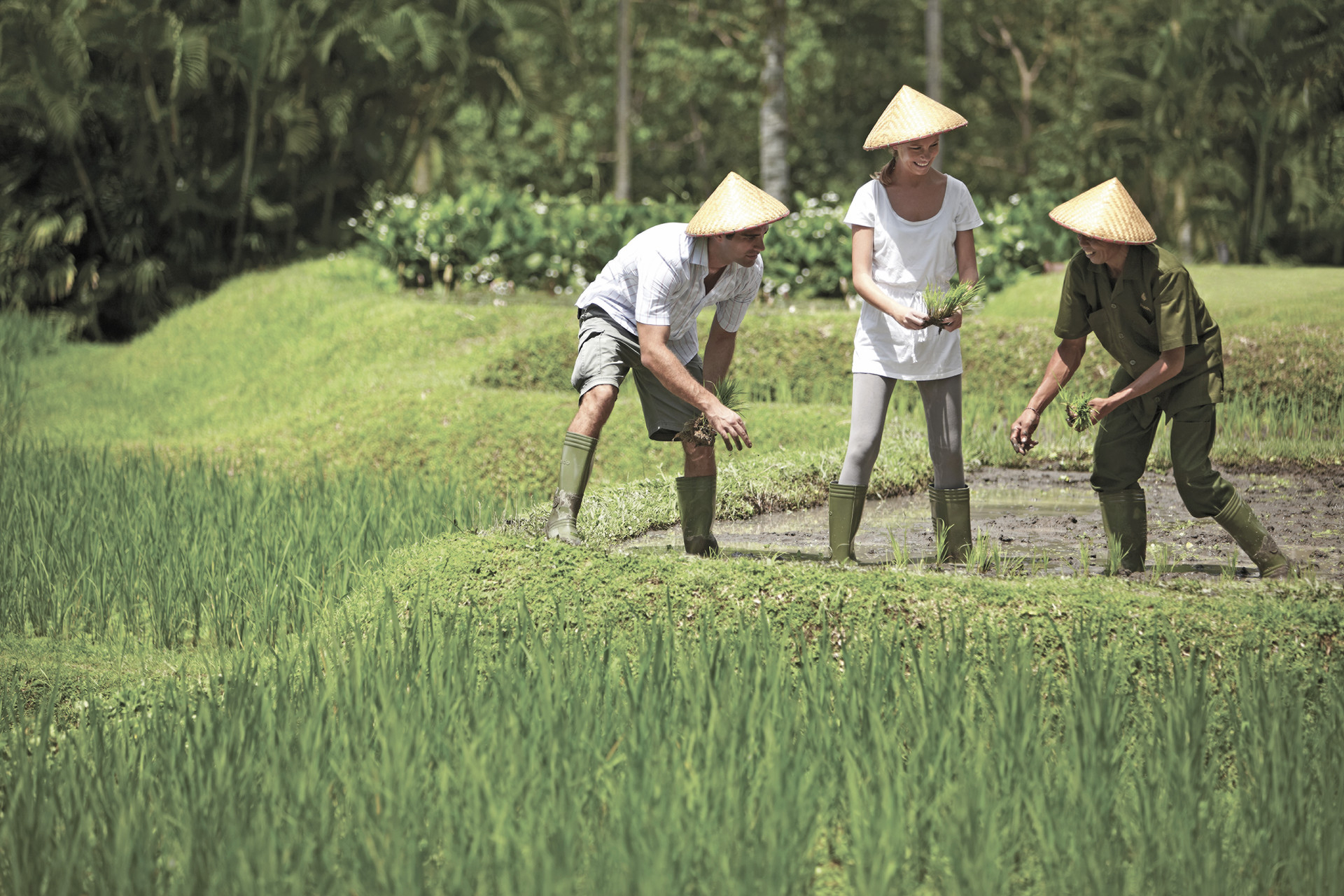 36 Four Seasons Resort Bali at Sayan