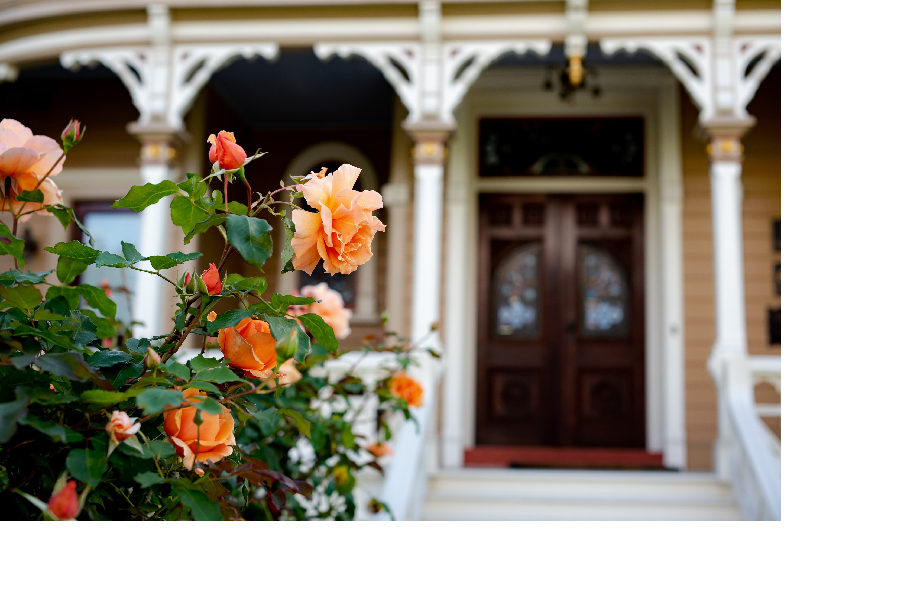 20190523-AHH-AFV-I8V_0014 resized Ackerman Heritage House