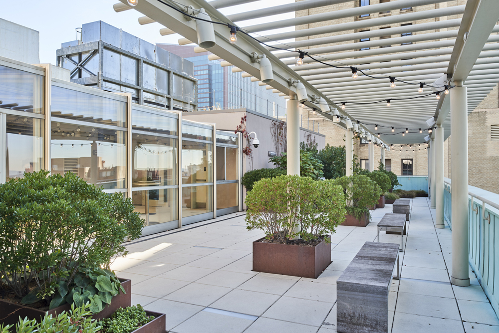 Fisher_Rooftop_1 Brooklyn Academy of Music