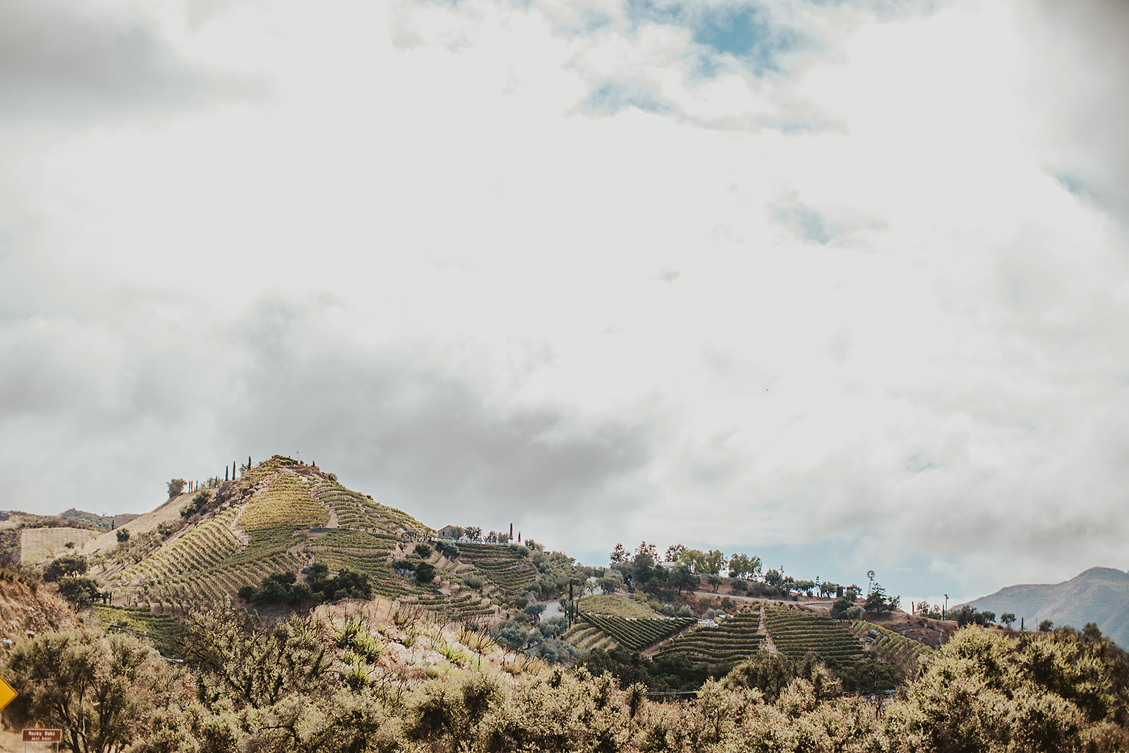 PATTERSON0175_websize Cielo Farms