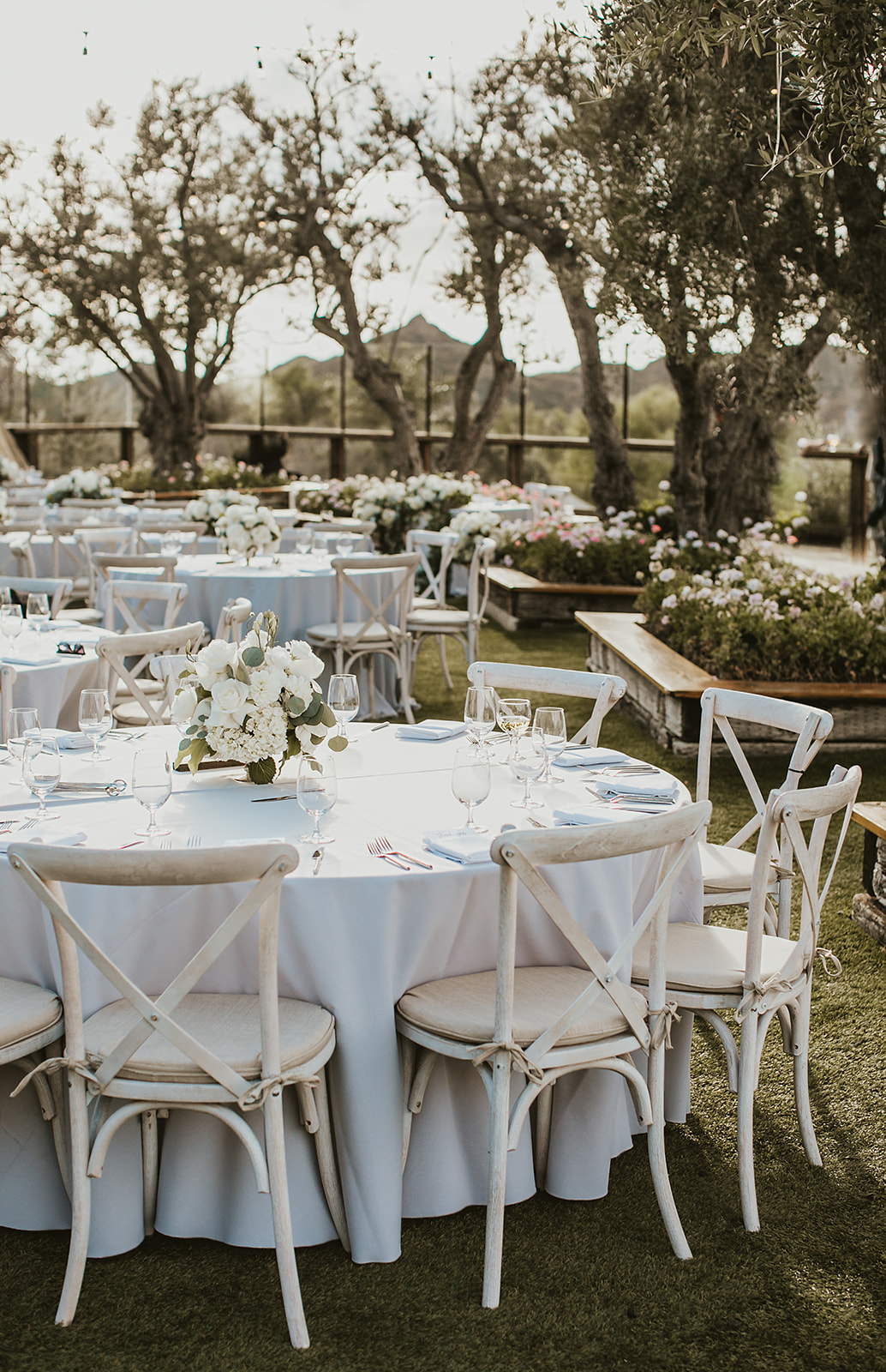 PATTERSON0677_websize Cielo Farms