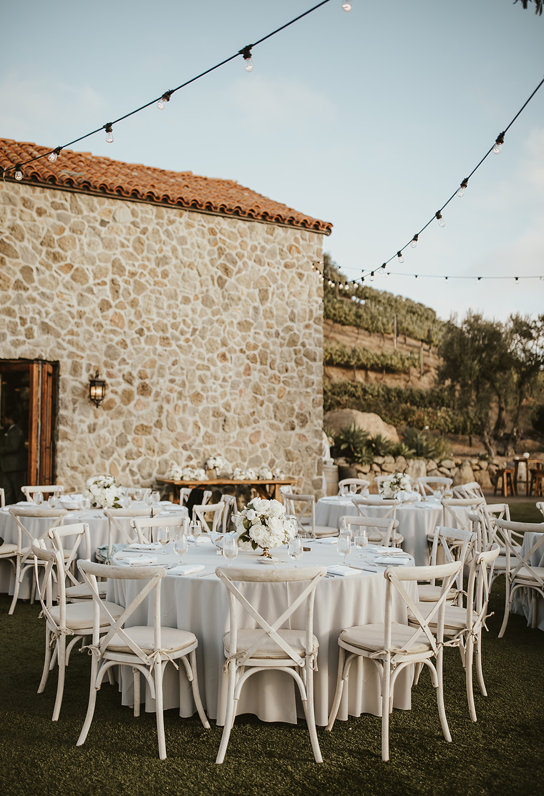 PATTERSON0871_websize Cielo Farms