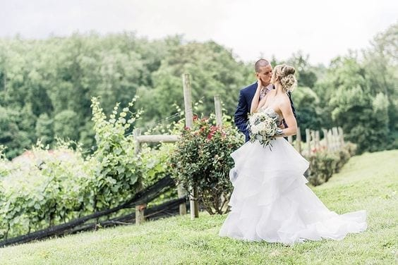 BRIDE-GROOM-KISS-SUMMER-WEDDING-GRAPEVINES-VINEYARD-HUMIDOR-HILL-POTOMAC-POINT-WINERY-VIRGINIA Potomac Point Winery & Vineyard