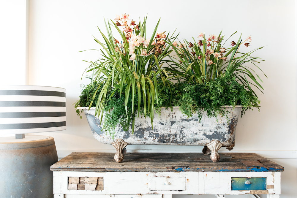 Moby Dicks Whale Beach