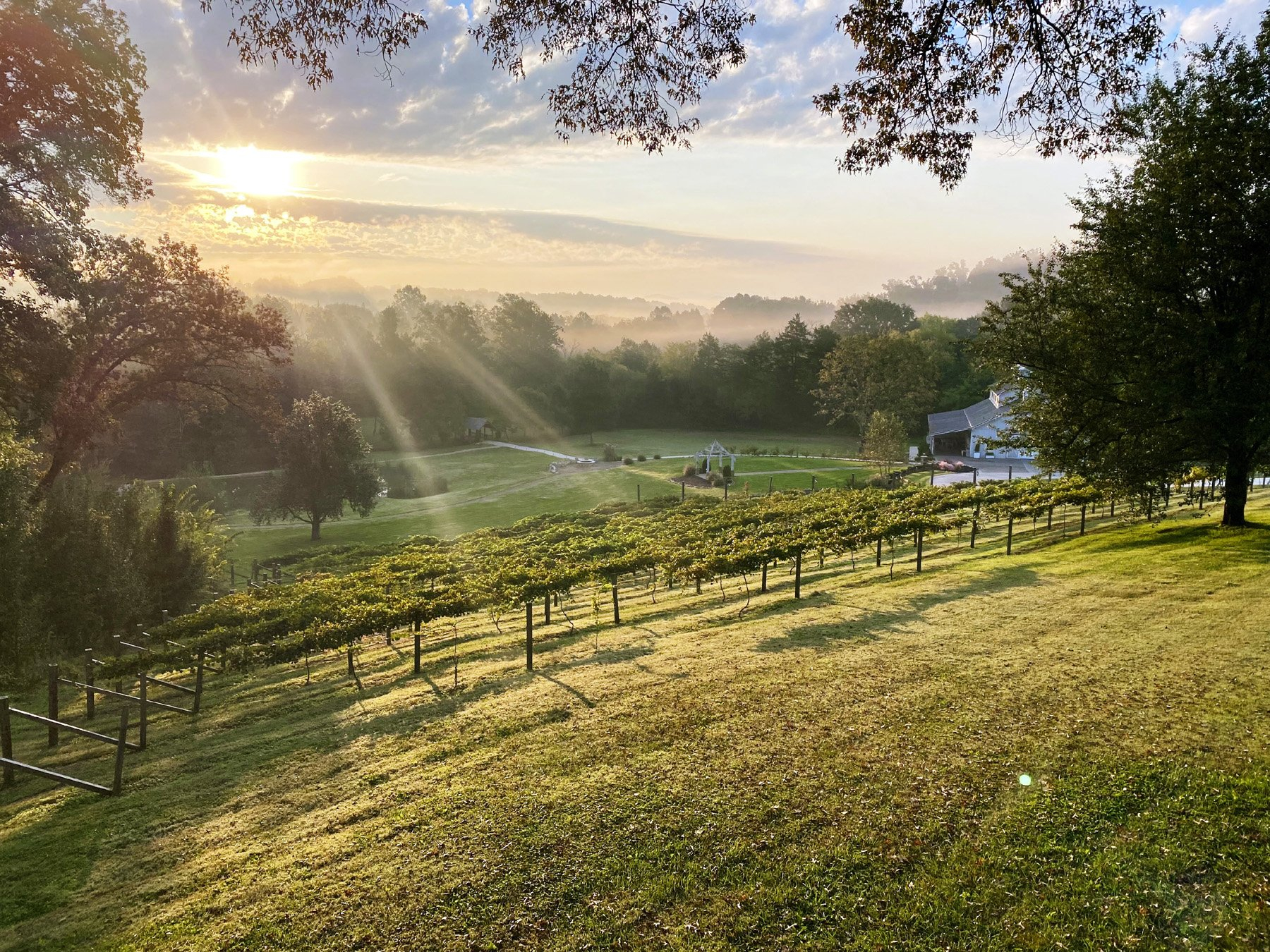 Ramble Creek Vineyard and Events