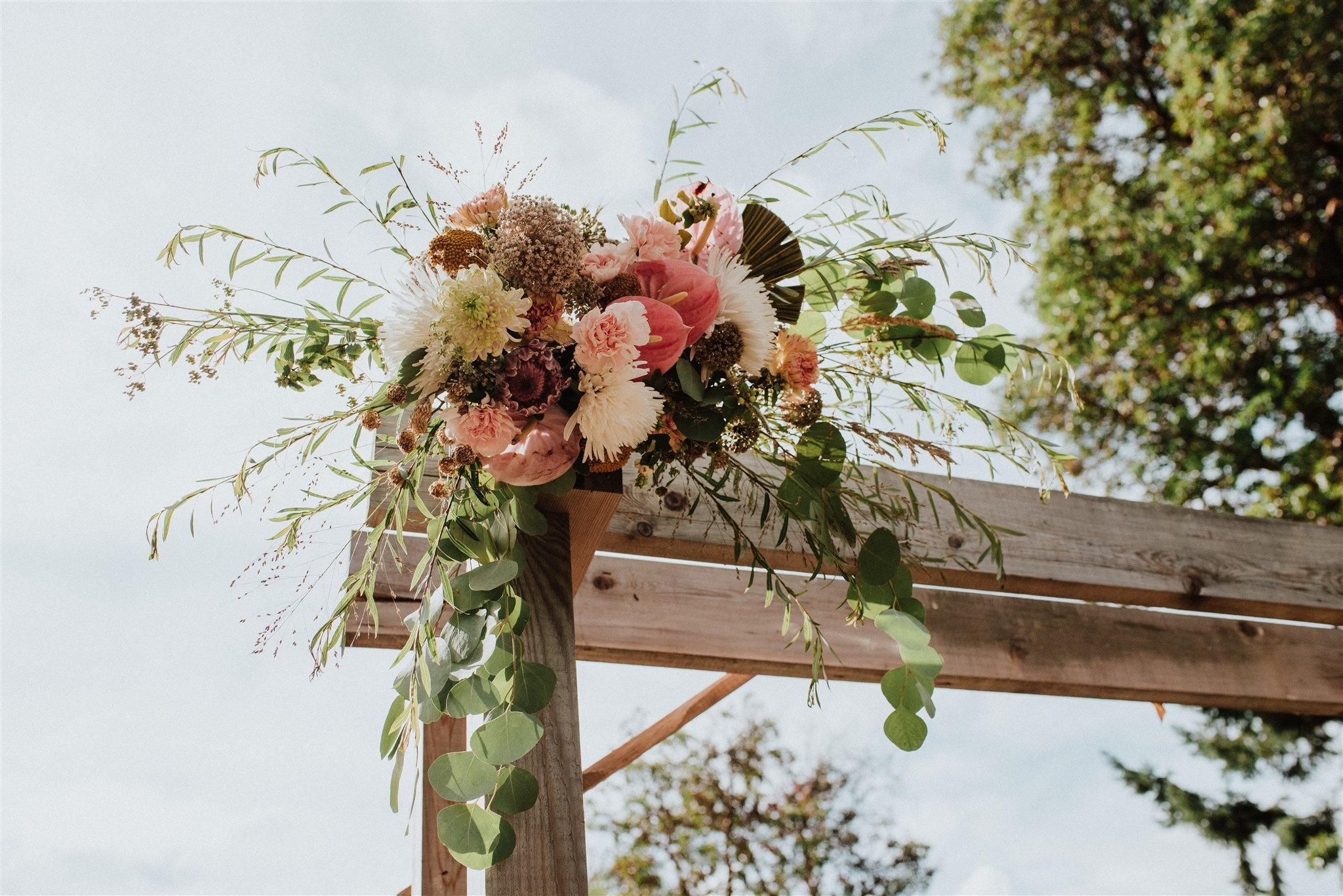 BodegaRidgeWedding2019_Jenn_and_Zach-1197 Bodega Ridge