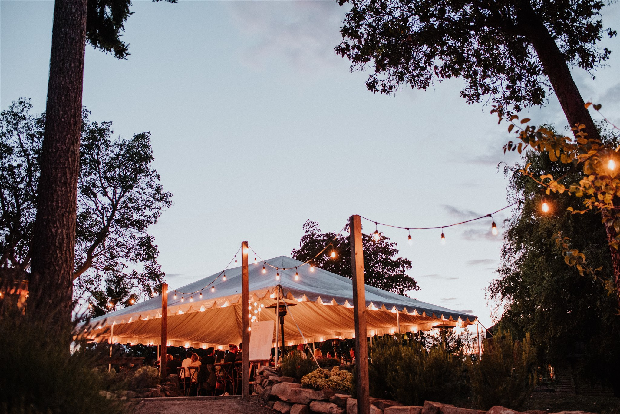 BodegaRidgeWedding2019_Jenn_and_Zach-1715 Bodega Ridge