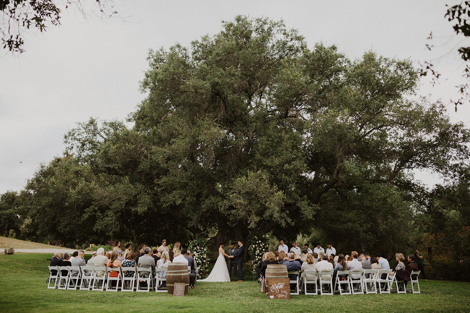 gabe haley Milagro Winery