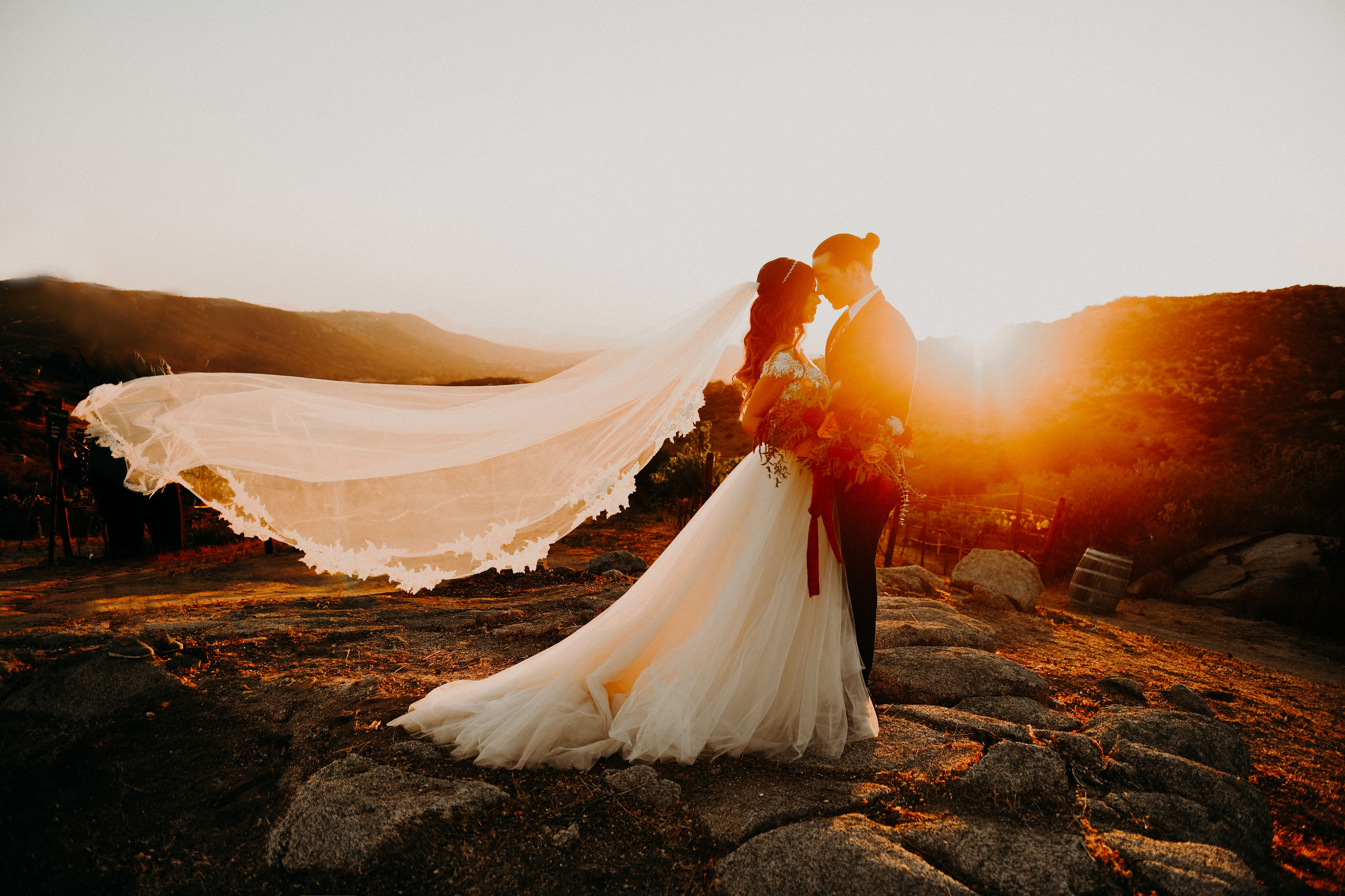 zimmerman sunset Milagro Winery